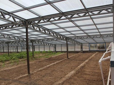 陽(yáng)光板溫室